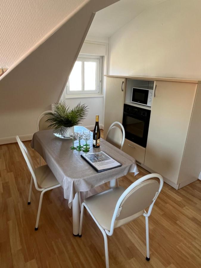 Bel Appartement Centre Climatise Parking Prive Кольмар Экстерьер фото