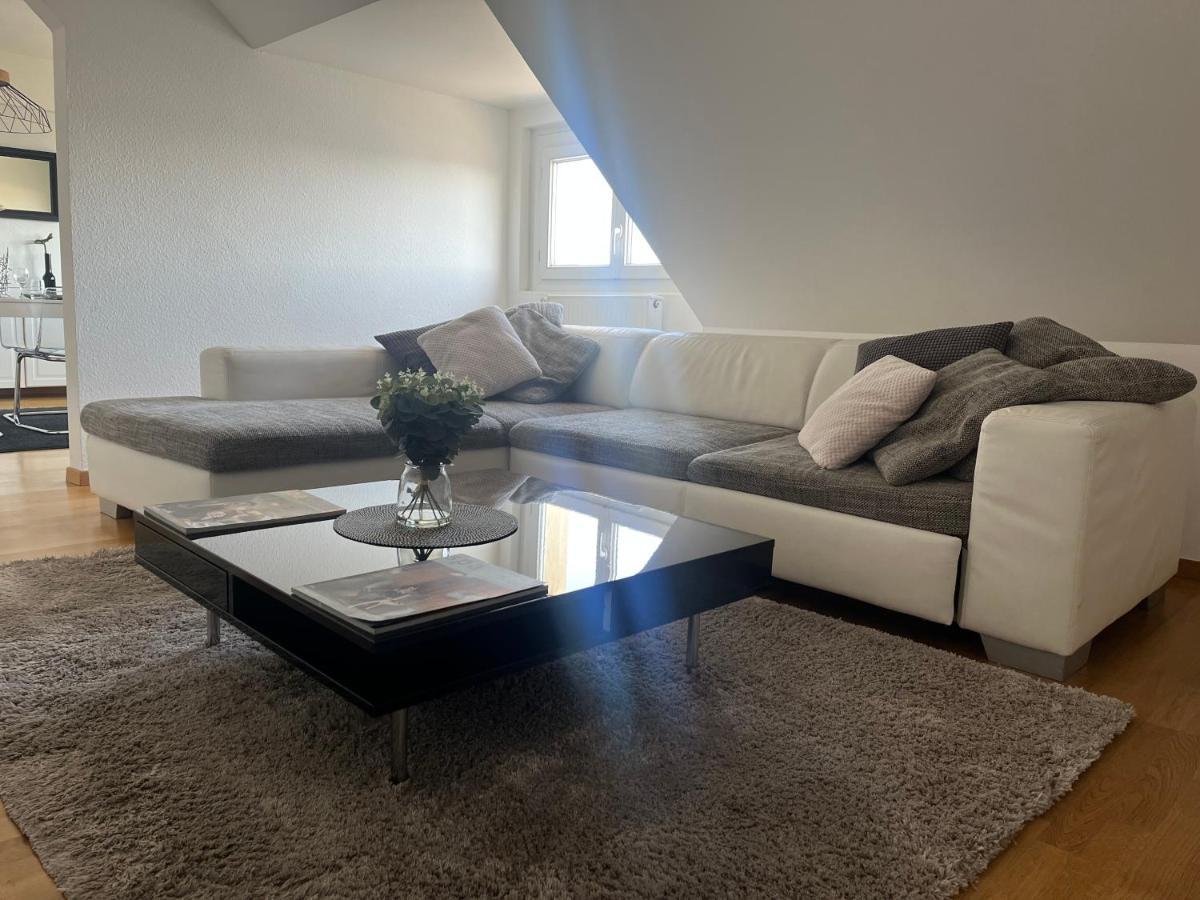 Bel Appartement Centre Climatise Parking Prive Кольмар Экстерьер фото
