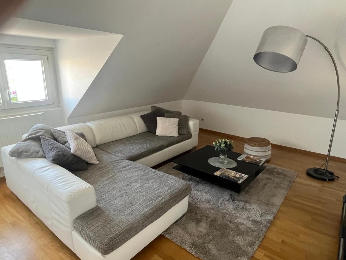Bel Appartement Centre Climatise Parking Prive Кольмар Экстерьер фото