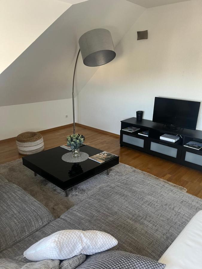 Bel Appartement Centre Climatise Parking Prive Кольмар Экстерьер фото