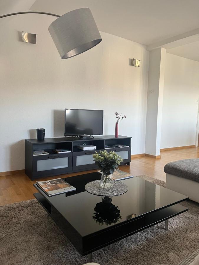 Bel Appartement Centre Climatise Parking Prive Кольмар Экстерьер фото